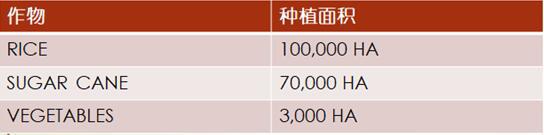 【外贸资讯】加勒比及中美洲农业市场分析