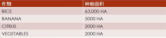 【外贸资讯】加勒比及中美洲农业市场分析