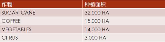 【外贸资讯】加勒比及中美洲农业市场分析