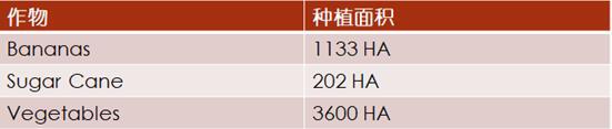 【外贸资讯】加勒比及中美洲农业市场分析