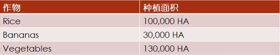 【外贸资讯】加勒比及中美洲农业市场分析