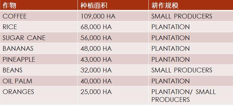 【外贸资讯】加勒比及中美洲农业市场分析