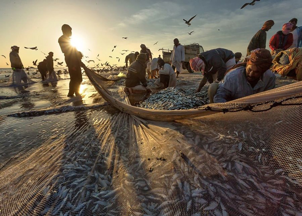 加纳政府推进捕鱼业可持续发展