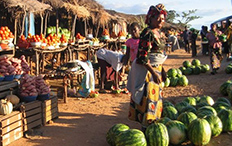 大量加工肉制品流入赞比亚市场导致其货币贬值_非洲物流_上海旭洲